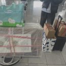 후쿠오카 부가부 드래곤플라이 스토케 트리트랩 구매 후기