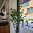 슬로우드커피 이미지