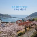 거제애광학교 이미지