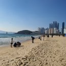 갑진글로벌 티스토리