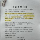 보배약국 | 편도부분절제술 후기(일기)