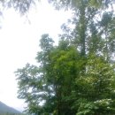 간성농장 이미지