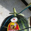 체정한의원 이미지