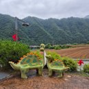 토속어류생태복원체험관 | 🐟🐠 신기한 물고기 친구들을 만나요! Echo Paradise Hwacheon (화천 토속어류생태체험관) 방문 후기