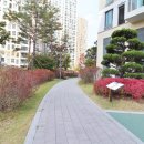 e편한세상 용인 한숲시티 6단지 이미지