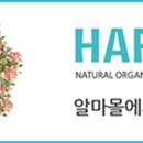 타요바이크