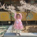 호돌유치원 이미지