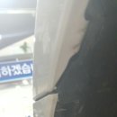 하이카동백점 이미지