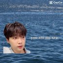 you are my sea. 🌊 이미지