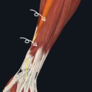 서울퍼펙트정형외과의원 이미지