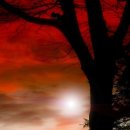 휴아일랜드 이미지