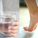 바디플랜 이미지