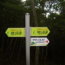 사랑의연리근 이미지