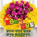 천하태평 Daum카페