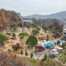 꽃이야 나무야 파주 이미지