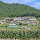 씨드민박 이미지