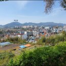 신월교(공원) Daum카페