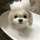 아쿠아 밸리 이미지