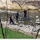 향수 농장 이미지