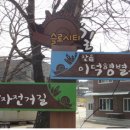 춘초몽 이미지