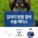 구로종합동물병원 이미지