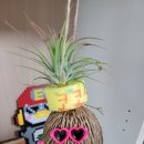 버덩농장 이미지