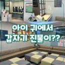베스트이비인후과의원 | 평촌 코아이비인후과 후기:아이 귀 진물로 방문, 대기시간·진료 확인서까지