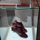 보령스포츠파크 이미지