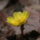 전국율곡서예대전 이미지