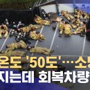 ﻿체감온도 &#39;50도&#39;…소방관 쓰러지는데 회복차량은? (2021.08.07/뉴스데스크/MBC) 이미지