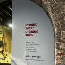 [Sydney_Eats] 시드니 시티 고기뷔페 Chefs Buffet Sydney | 셰프의 뷔페 솔직 후기