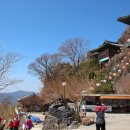 화개농원 이미지