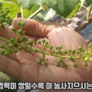 이영식농장 이미지