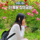 2020037 | 원주 단계동 장미공원 축제 2026 일정 장소 초대가수