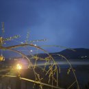 구찌네집 이미지