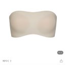 이런 튜브탑 브라 입어본 준배잇어? 존나 걸을 때마다 내려가서 불편할거같은디 대안이 잇을까.. 이미지