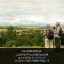 다비치안경 향남2지구점 이미지