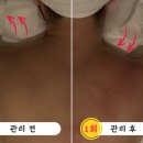 더게이트스파 이미지