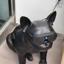 마트짱 맞은편 이미지