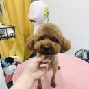 미쓰멍 네이버블로그