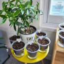 자연의 색 물들이기 이미지