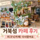 피크닉카페 | 거북섬 카페 피크닉카페 다녀온 후기, 편하게 쉬기 좋았던 공간
