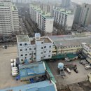 스테이독 이미지