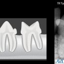 파리스동물병원 이미지