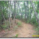 왕방산 등산로 이미지