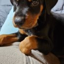 하리네 하우스 이미지