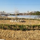 동산농원 이미지