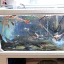 수영교차로 | 수영교차로 맛집 회 구성에 반해버린 수영역 맛집 만선횟집