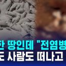 비옥한 땅인데 "전염병 우려"…동물도 사람도 떠나고 있다 / SBS 8뉴스 이미지