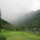 도심다원 이미지